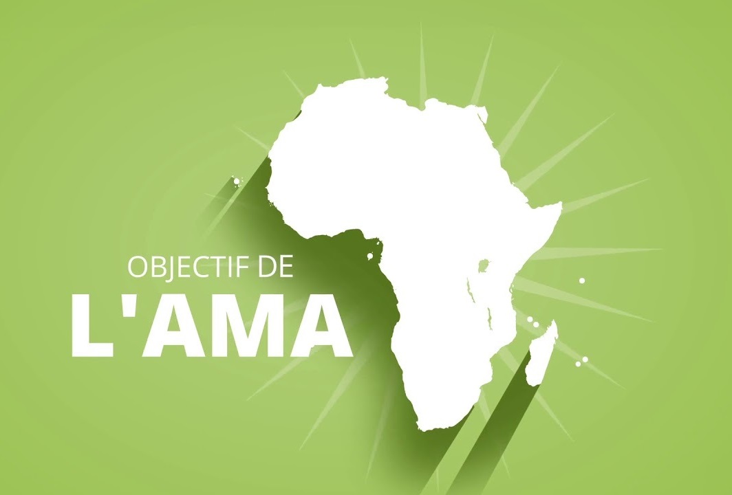 L'AGENCE AFRICAINE DES MEDICAMENTS DEBUTERA SES ACTIVITES EN NOVEMBRE 2021